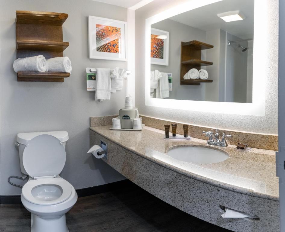 Wingate By Wyndham Dfw / North Irving Photo 11