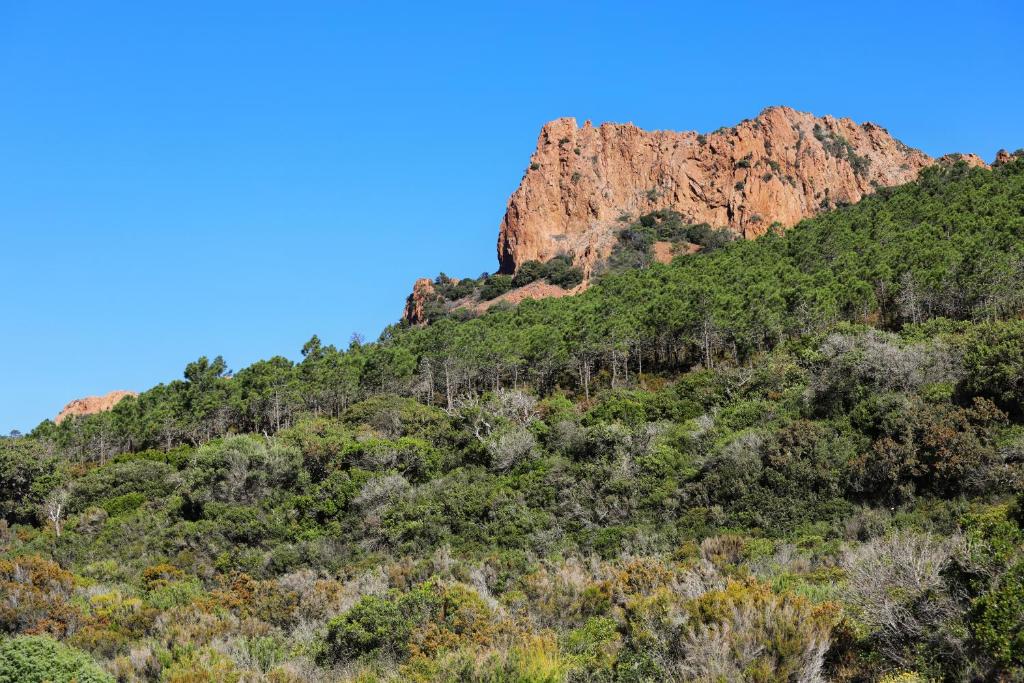 Surrounding environment