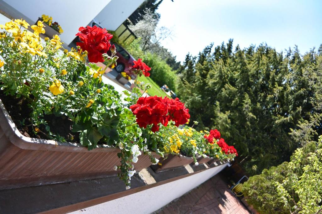 Ferienwohnungen Kurhotel Eichinger - 5