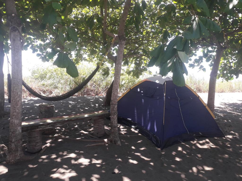Hostal Pachamama photo
