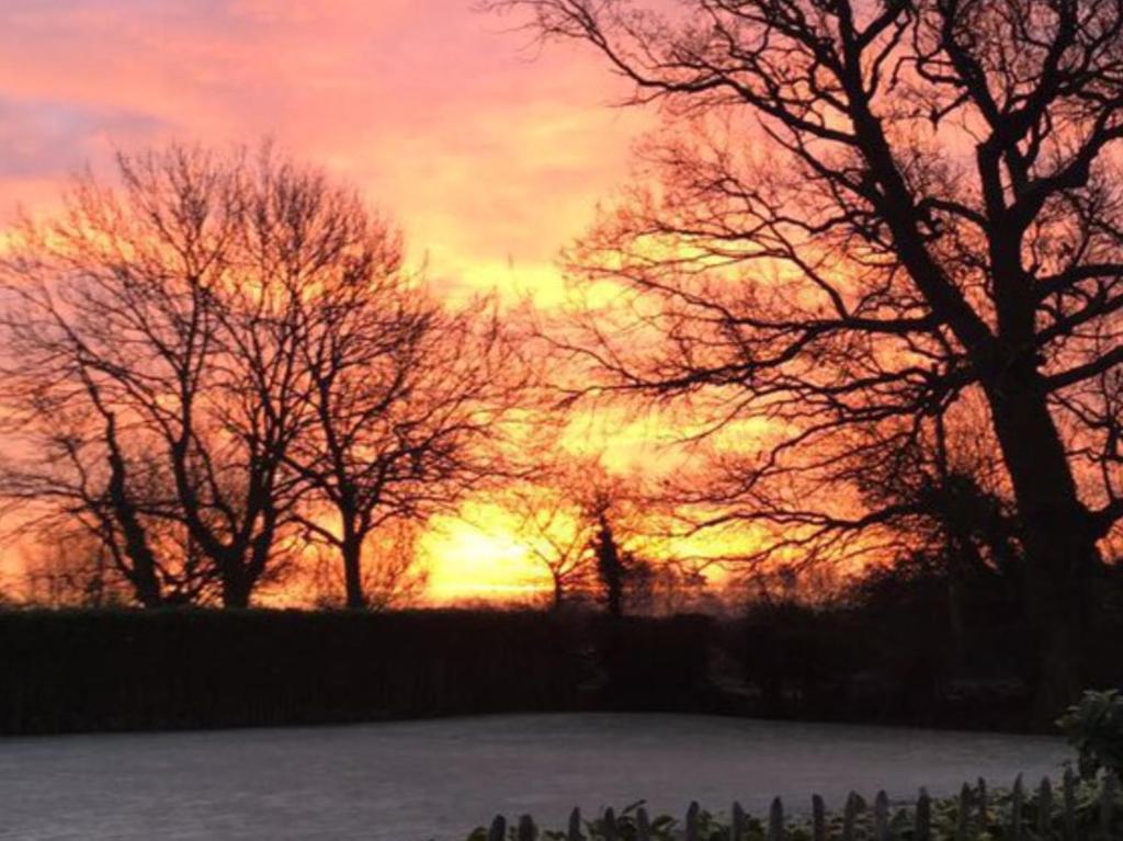 Lemondrop Cottage, Southburgh