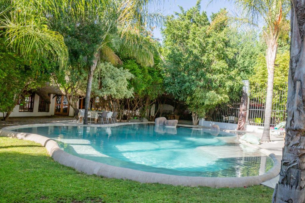 Out of Africa Town Lodge photo