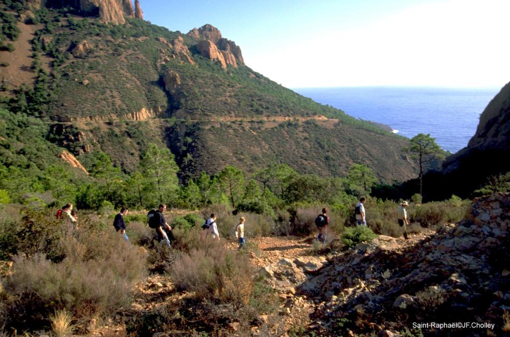Surrounding environment