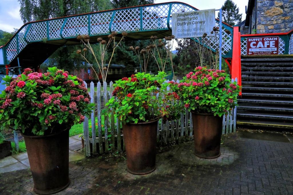 周辺観光スポット