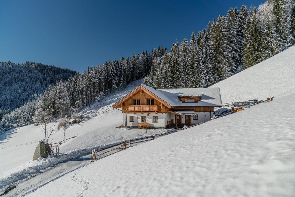 Almchalet Linharterhof - 4