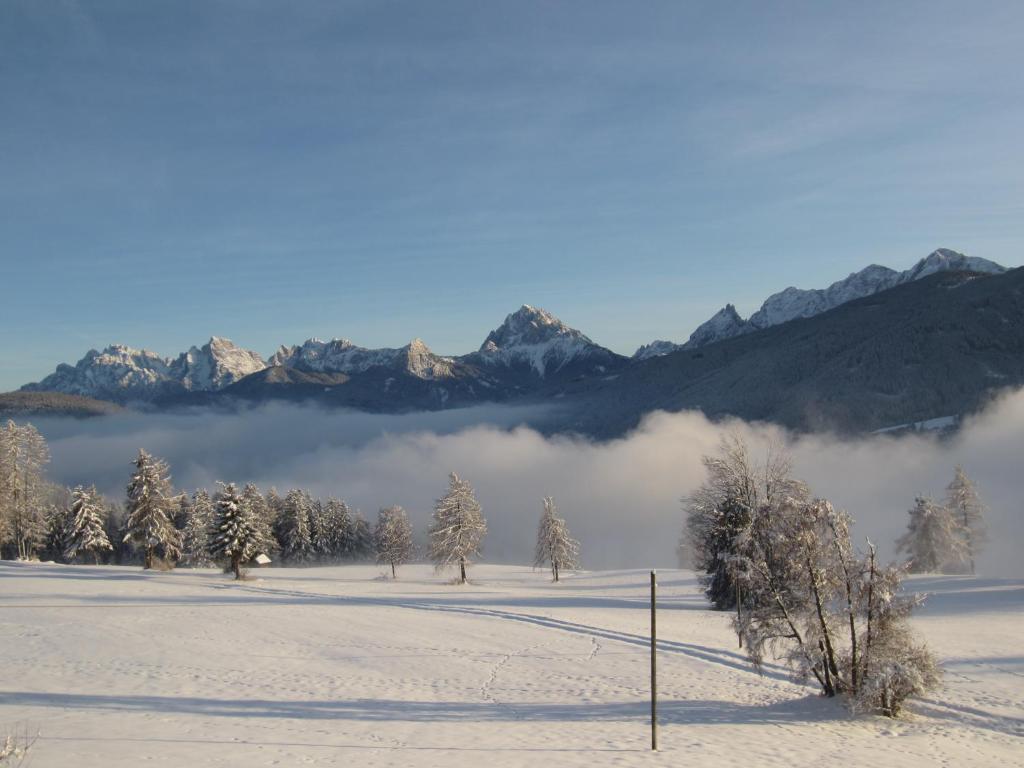 Tiefentalhof - Urlaub am Bauernhof - 2