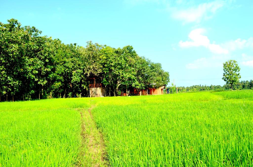 Ceyted Cottage photo
