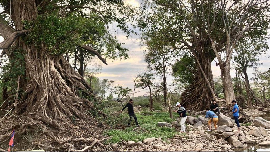 Surrounding environment