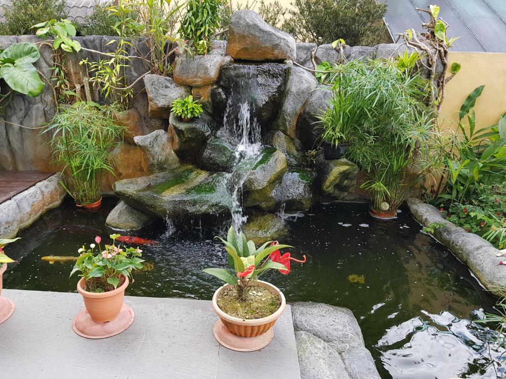 Surrounding environment