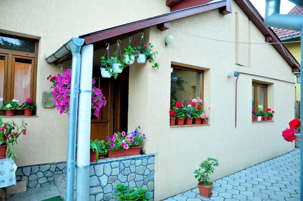 Casa Maria photo
