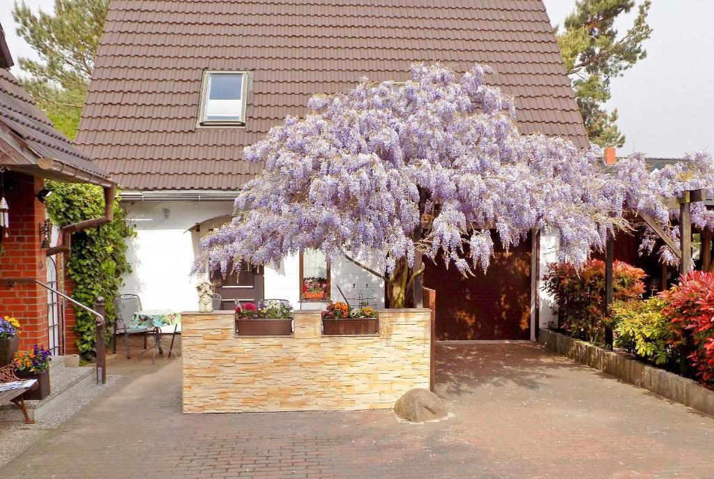 Ferienhaus Ueckeritz USE 3261 photo