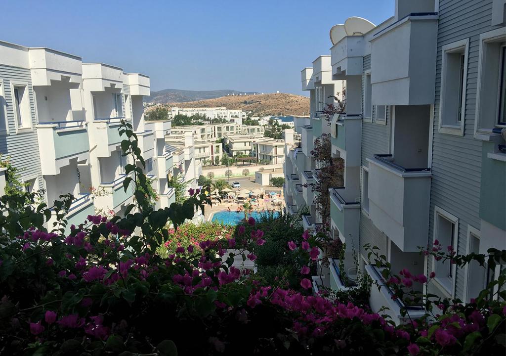Dış Görünüm