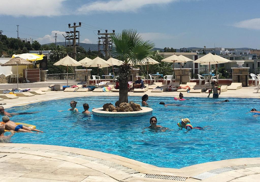 Yüzme havuzu