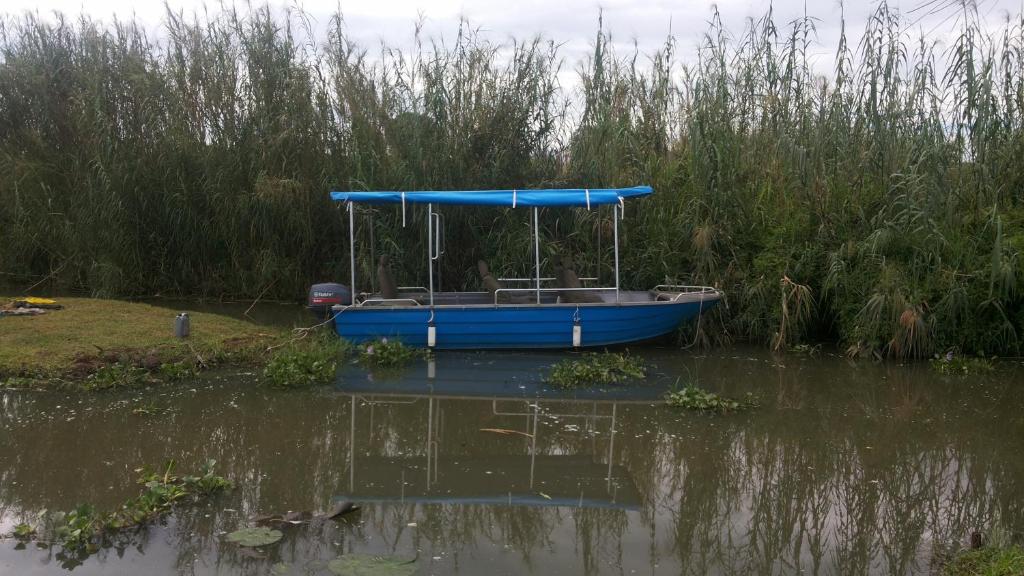 アクティビティ