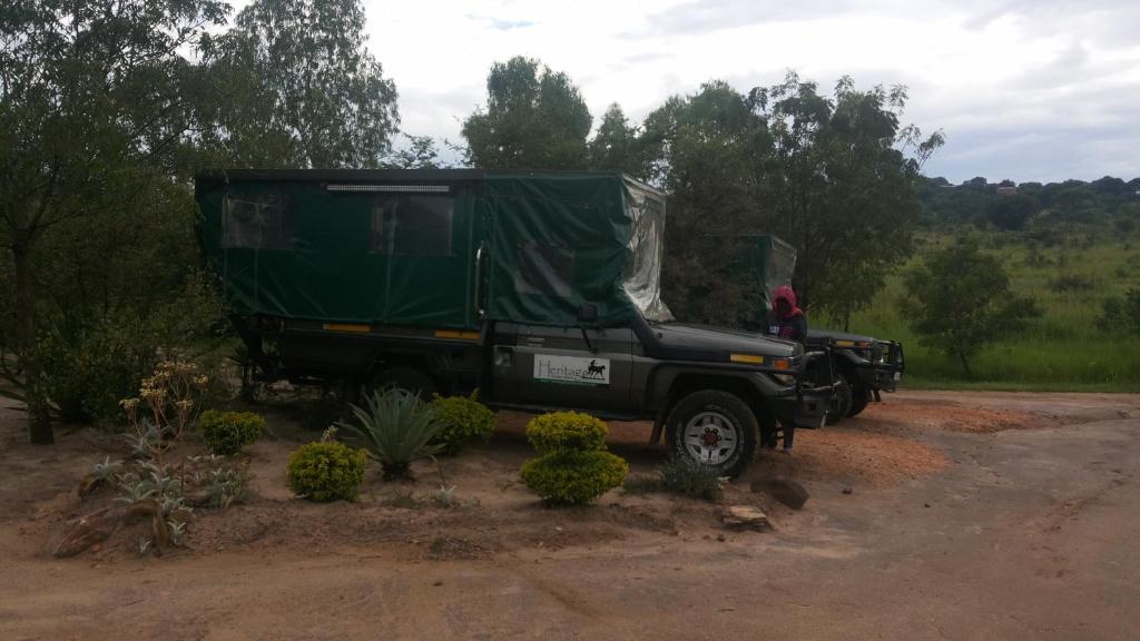 アクティビティ