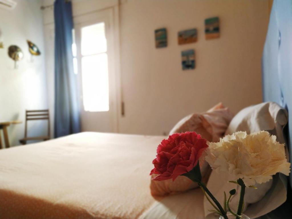 Hostal Casa Nautilus - 5