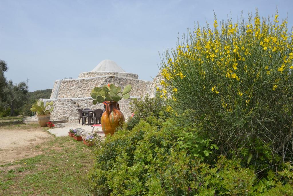 TRULLO Minuetto - 5