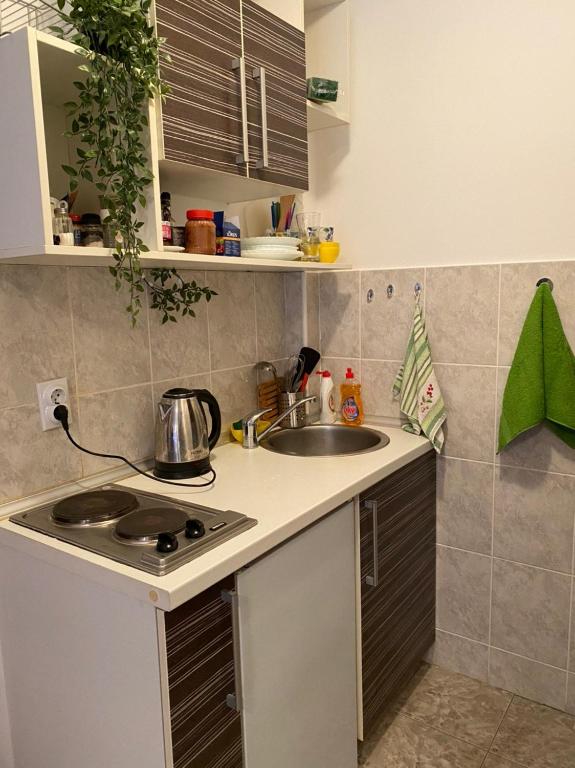 Mint Apartment studio - 4