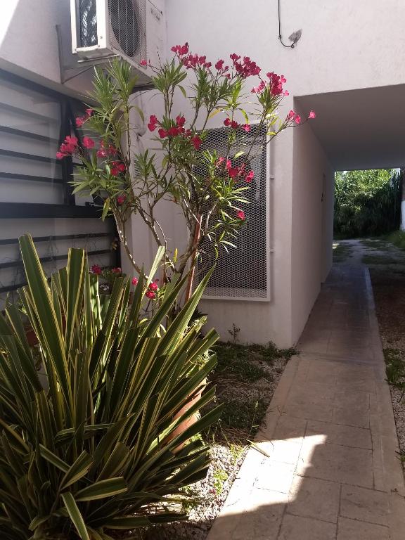 Departamento Rocío con cochera, La Perla, Mar del Plata - 1