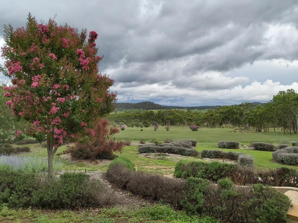 Accommodation Creek Cottages & Sundown View Suites photo