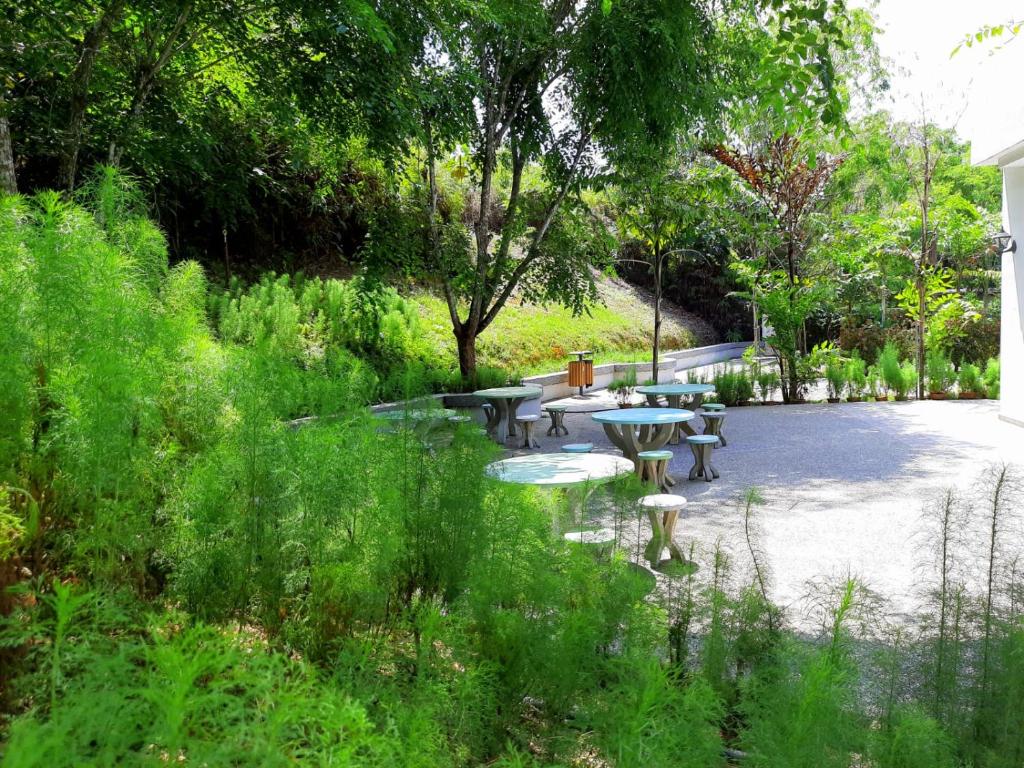 Surrounding environment