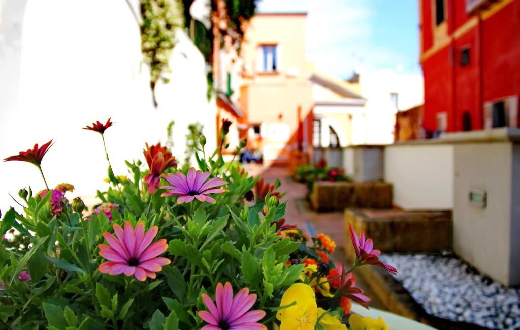 Il Borghetto Apartments &amp; Rooms — Hotel in Procida