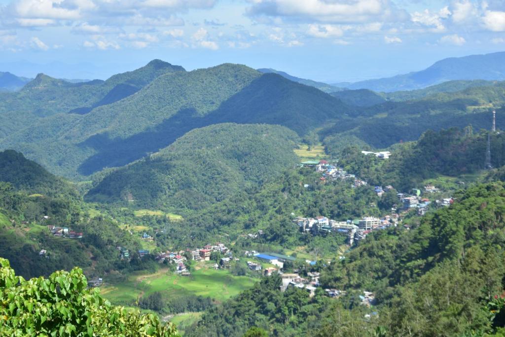 View