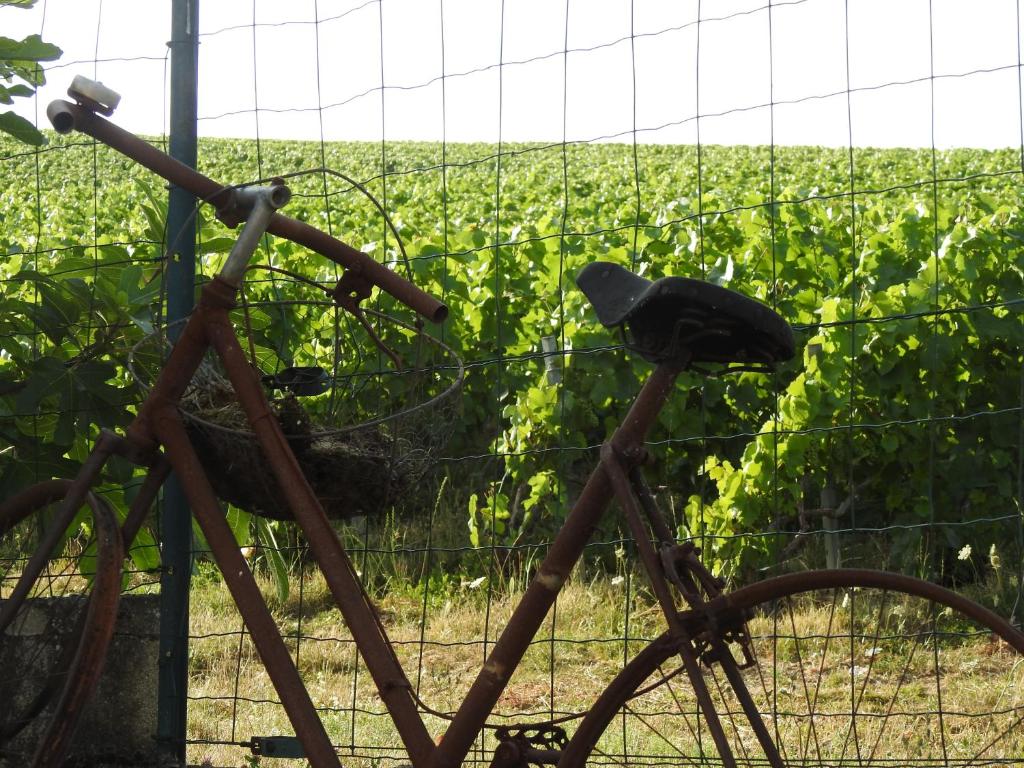 Chambre D Hotes Epernay Au Coeur Des Vignes