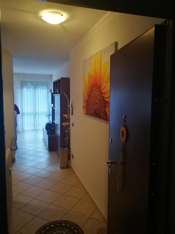 IL GIRASOLE - 2