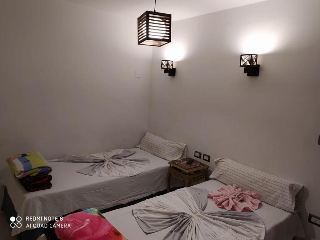 Venus Hostel photo