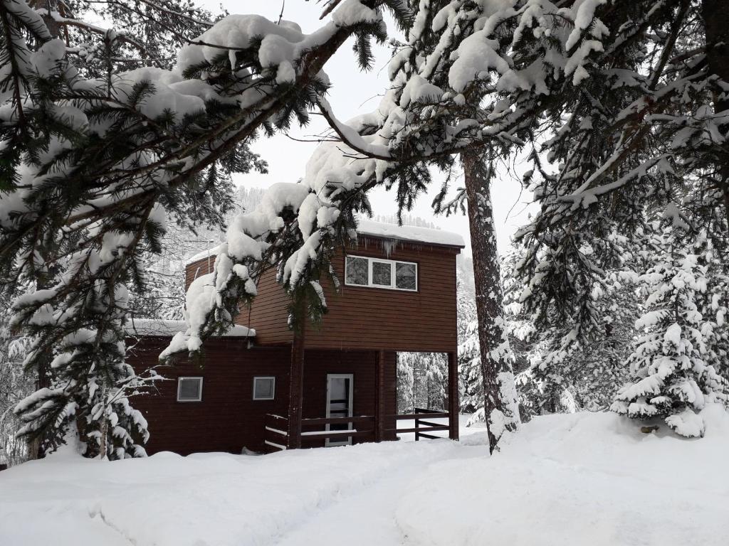 EcoHouse on Artybash photo
