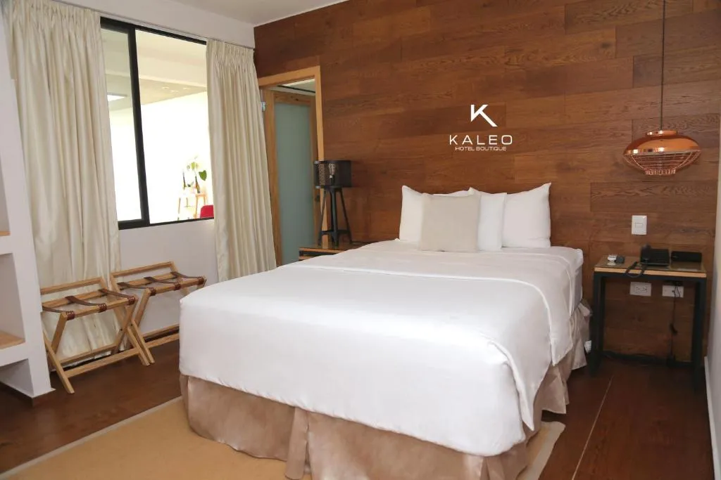 Kaleo Hotel Boutique，位于圣萨尔瓦多的酒店