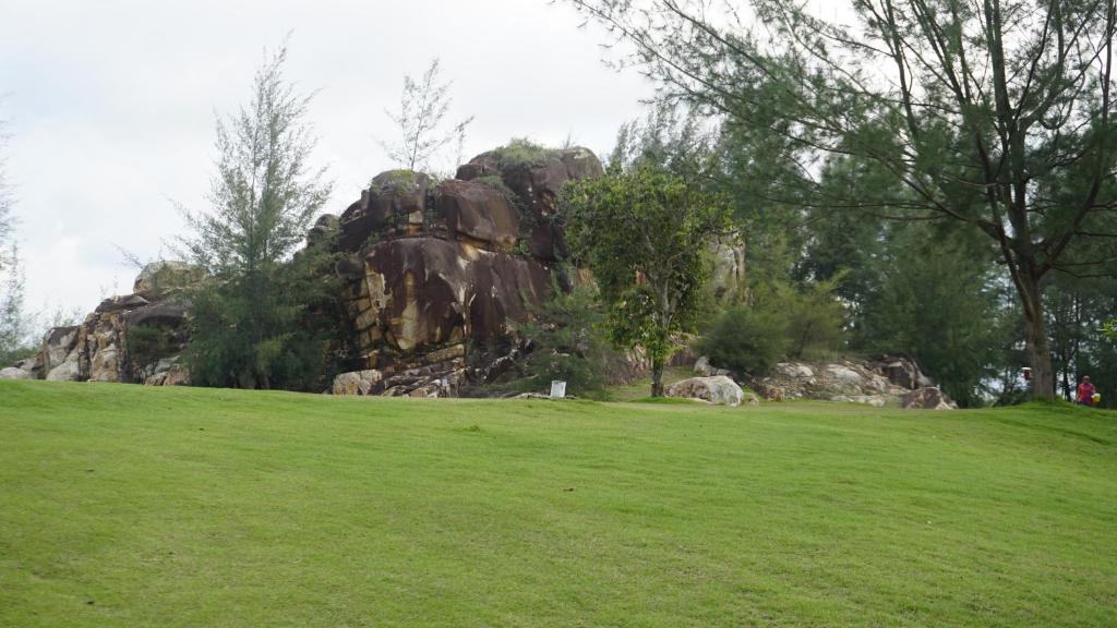 Surrounding environment