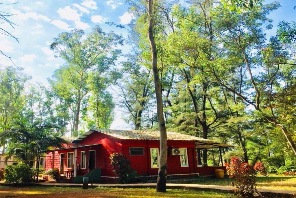 The Jungle Resort Amba — Hotel in Amba