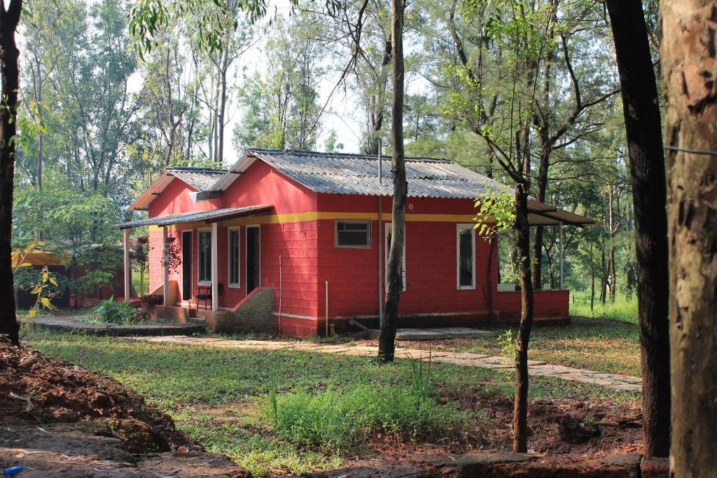 The Jungle Resort Amba photo