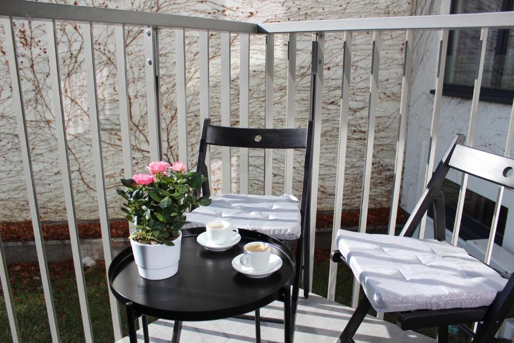 LEO Apartment FREE PARKING - Augusta 전경