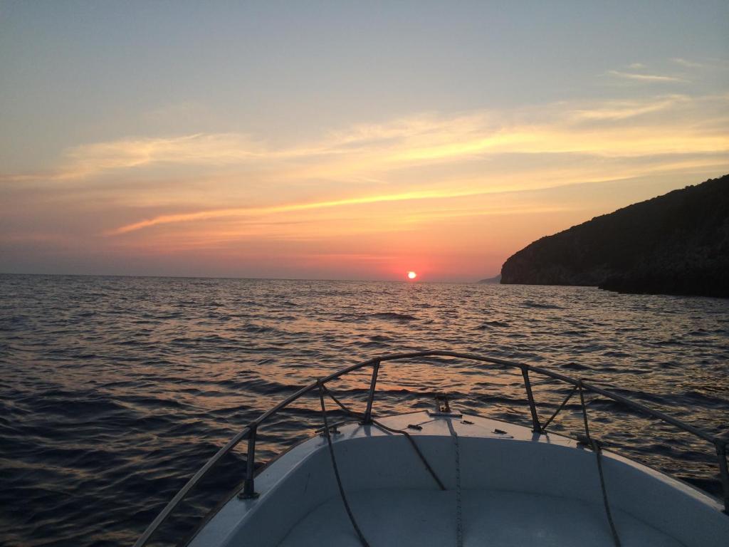 Vela e Bardhe photo