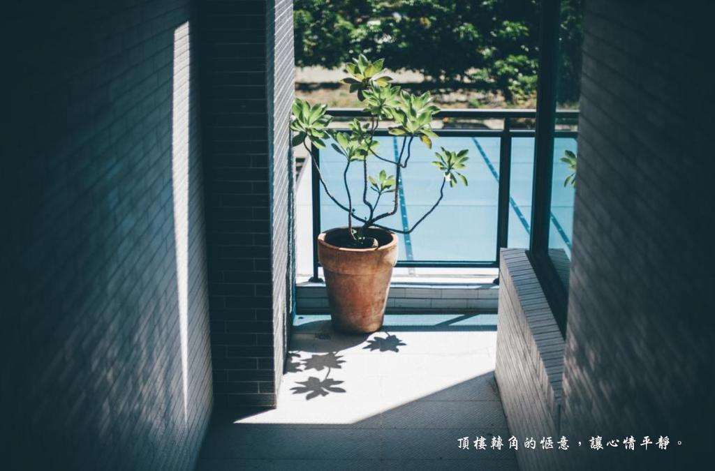 맘보 부티크 호텔 호텔 이미지 1