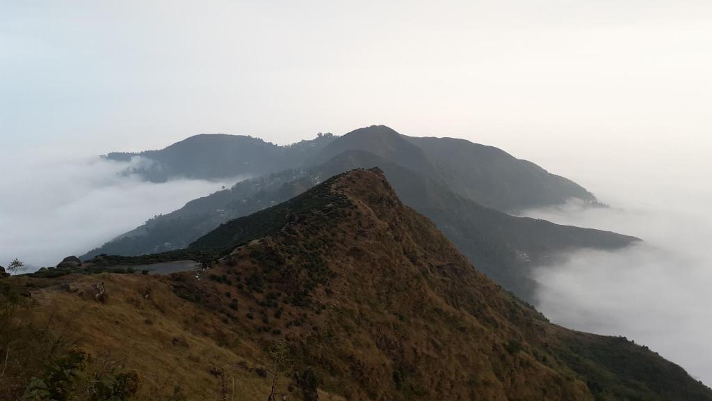 The River View Homestay photo