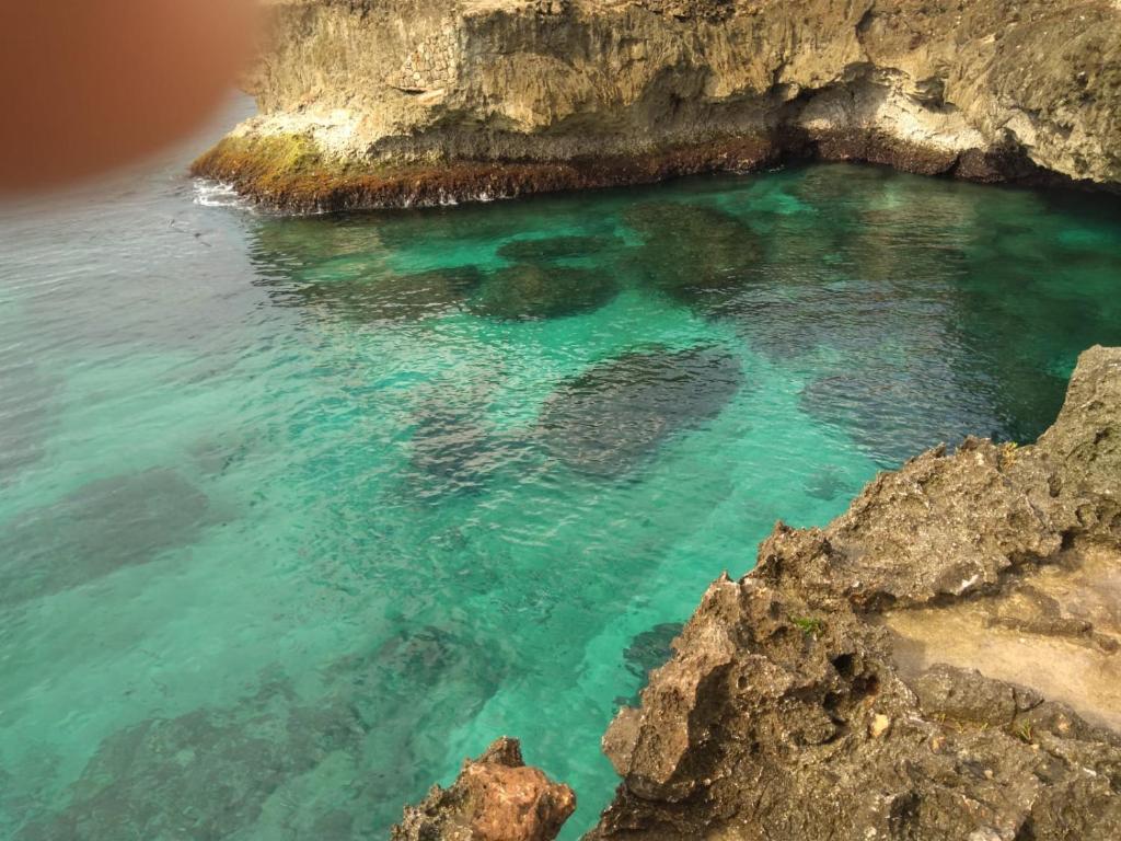 La Cueva del Che photo