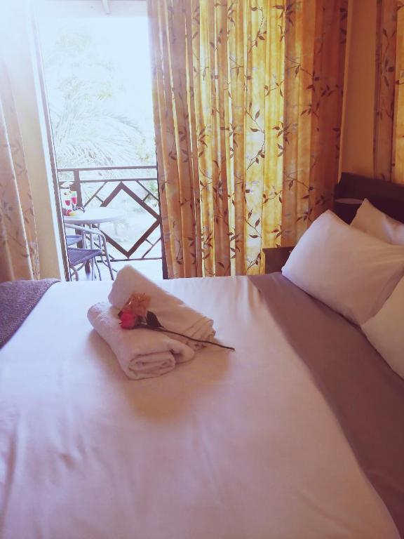 Hilton Gardens Guesthouse photo