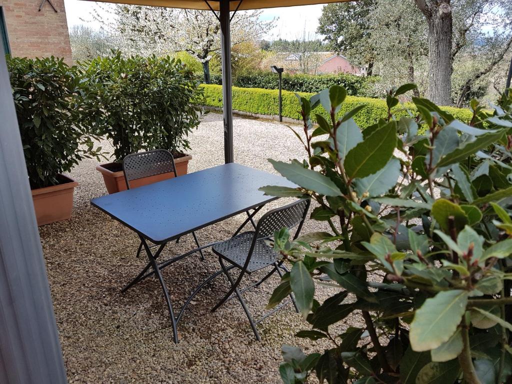 Agriturismo Il Poggiarello - 3