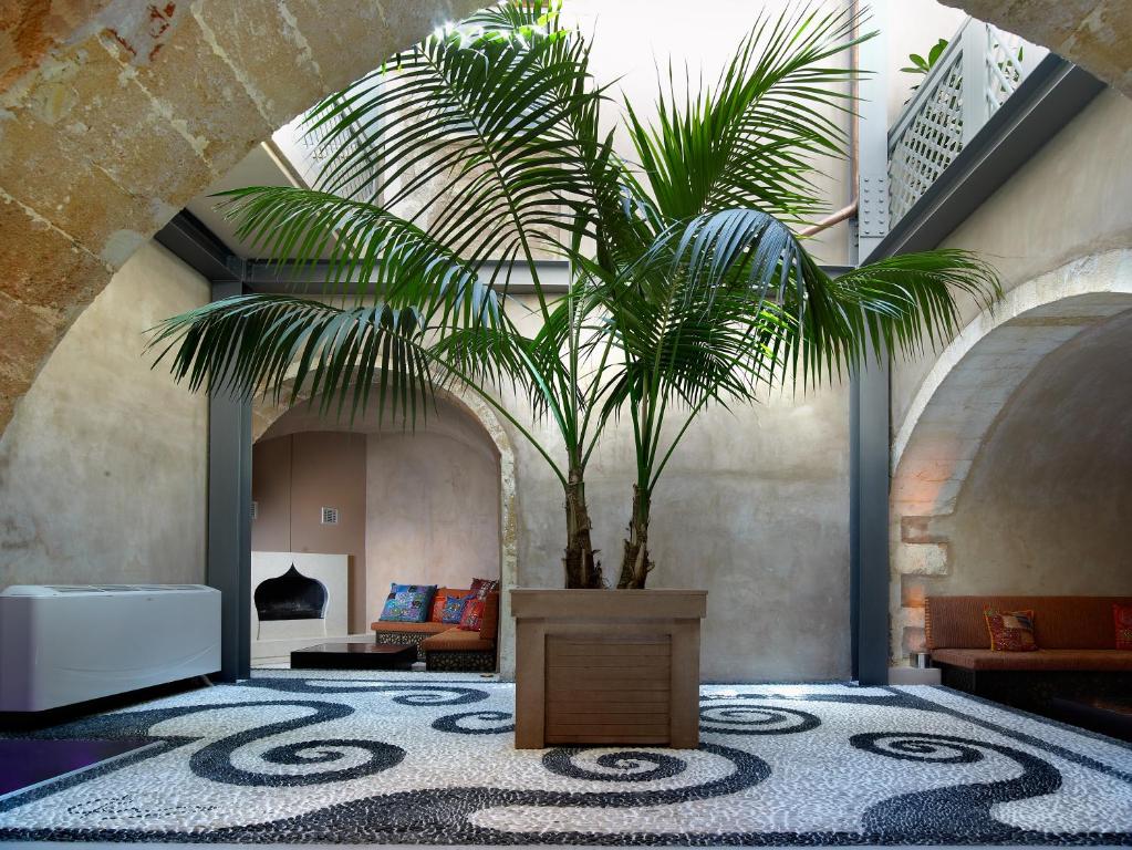 Elia Fatma photo