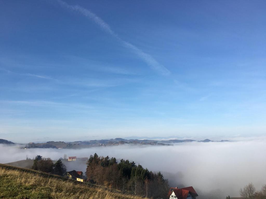 Steirer Haus - 3