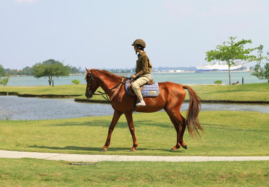 Horseback riding