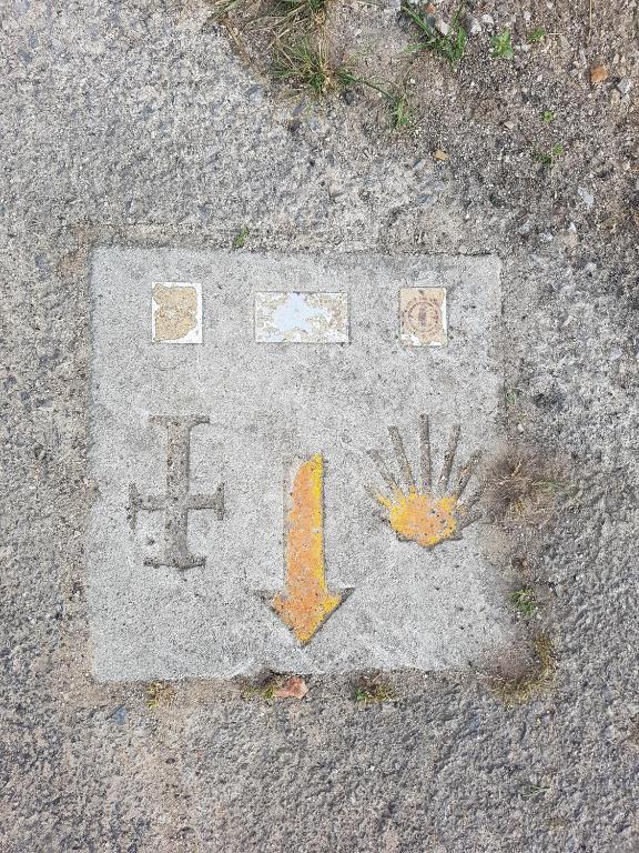 アクティビティ