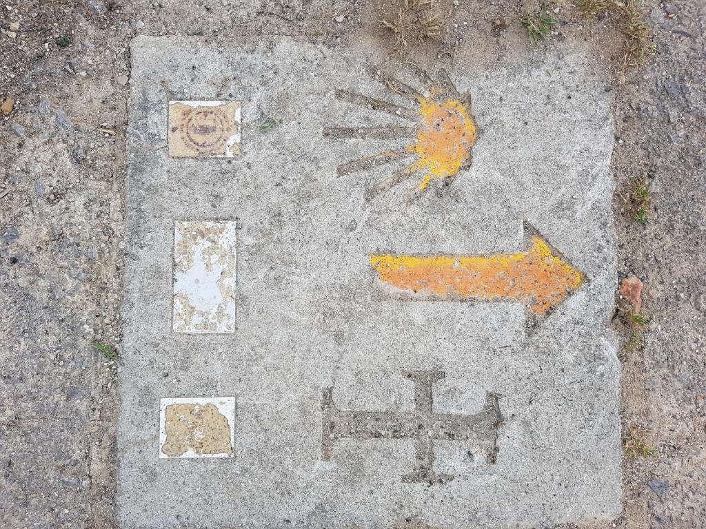 アクティビティ