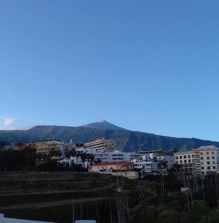 Apartamentos Pez Azul — Attractions in the area in Puerto de la Cruz, Canary Islands