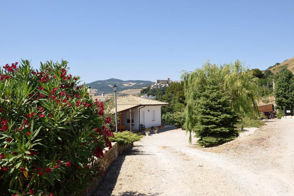 Colle d'Elce photo