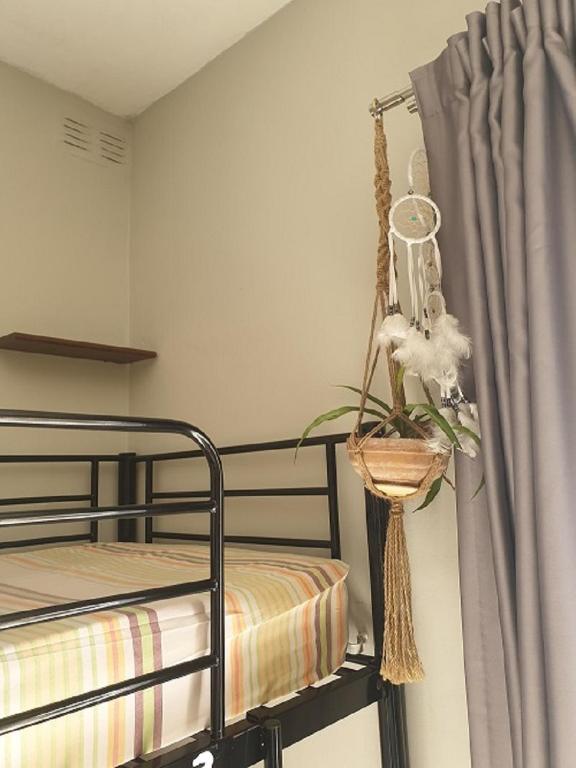 Boho Hostel photo